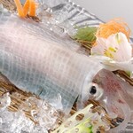 squid sashimi