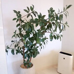 ATAMI せかいえ - 