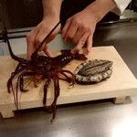 ATAMI せかいえ - 