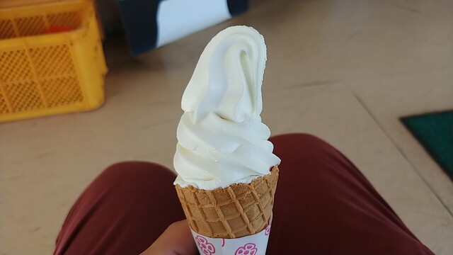 この濃さが好き 美味しいソフトクリーム By メタボ熊 大観峰茶店 ダイカンボウチャテン 阿蘇市その他 定食 食堂 食べログ この濃さが好き 美味しいソフトクリーム By メタボ熊 大観峰茶店 ダイカンボウチャテン 阿蘇市その他 定食 食堂 食べログ