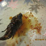 居酒屋 みこし - 