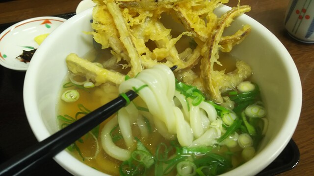 写真 たぬき 萩 うどん 食べログ 写真 たぬき 萩 うどん 食べログ