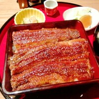 炭焼 うな富士 有楽町店 - 