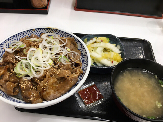Yoshinoya Bentencho Nishikujo Osaka Dome Gyu Don Beef Bowl Tabelog