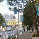 La Brianza - クリスマス飾り付け始まってました。