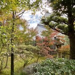 染地台 藪蕎麦 - お店