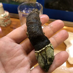 魚がし - ぎょえー！でかい亀の手！