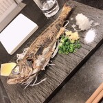 魚と酒 はなたれ 新橋店 - 