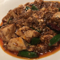 神田 雲林 - マーボー豆腐（アップ）