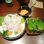 一徹 - 真鯛の刺身