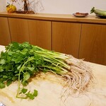 勢麟 - 仙台のお芹様