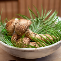 緒方 - 和歌山県富貴の松茸