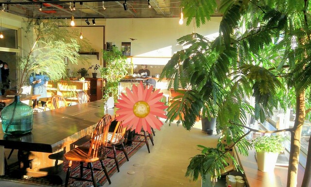 Cafe 煙突の木 - 上戸（カフェ）の写真