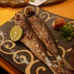 鮮魚料理 居酒屋 ちゃき - 鰯塩焼き