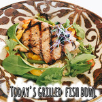 그릴 피쉬 그릇 Today's Grilled Fish Bowl