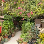 クチュアンドパラダイス カフェ - お店入口