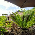 クチュアンドパラダイス カフェ - 店内