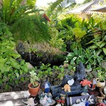 クチュアンドパラダイス カフェ - 店内