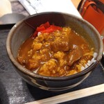 紀ノ川サービスエリア(上り線) フードコート - ミニカレー丼