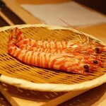 恵比寿 鮨 ふじまさ - 