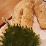 うどん 色彩 - 
