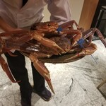 銀座 しのはら - 松葉蟹