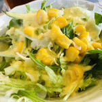 カレーハウス田園 - 食べれない野菜サラダ