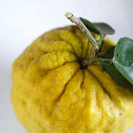 中村製麺所 - "鬼柚（をにゆう）"