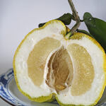 中村製麺所 - "鬼柚（をにゆう）"、斷面（きりくち）