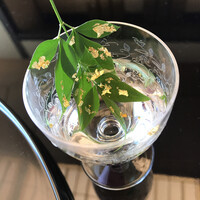 名古屋 浅田 - 南天の葉についた金粉をしずくに入れて飲む（笑）