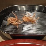 てんぷら 深町 - 車海老の頭