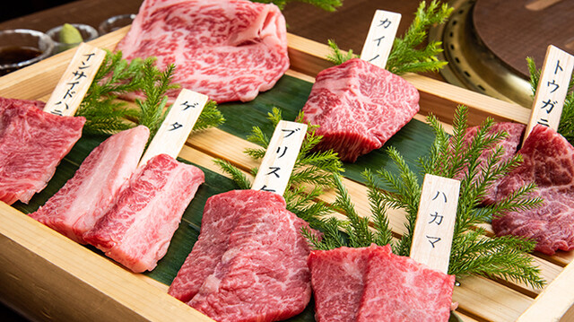 西日暮里 ホルモン ニシニッポリホルモン 西日暮里 ホルモン 食べログ