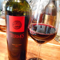 TexturA - ヌマンシア　テルメス　