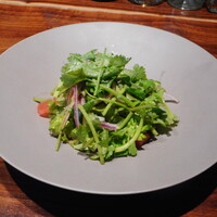 TexturA - パクチーサラダ