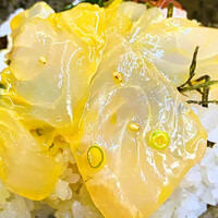 KINKA sushi bar izakaya 渋谷 - 