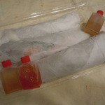 アジアンビストロDai - テイクアウト　生春巻き