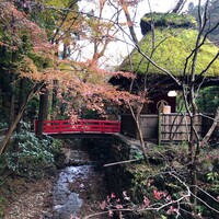 うかい鳥山 - 