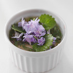 E.Bu.Ri.Ko - 山野草のムース、カキドオシの花と