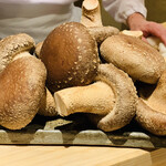 日本橋 蕎ノ字 - ■玉取茸
      ☆ 静岡市岡部町の杉山農園の椎茸。玉取で菌床作りから収穫まで行われるので玉取茸と呼ばれる。栽培中の玉取茸にモーツアルトを聞かせて育てている。農水大臣賞も受賞した椎茸。