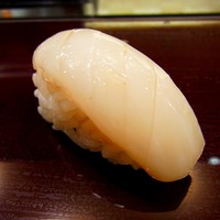今よし - ヤリイカ　