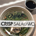 CRISP SALAD WORKS - 