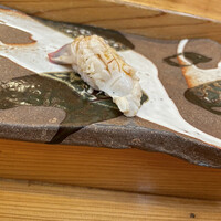 小判寿司 棚倉 - 