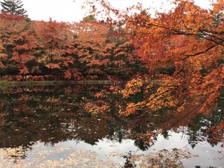 ゆとりろ軽井沢ホテル - 