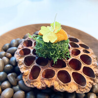 Installation Table ENSO L'asymetrie du calme - 