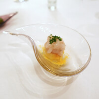 Shin Harada - 白エビのカッペリーニ