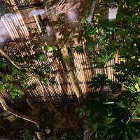 赤坂 津つ井 総本店 - 