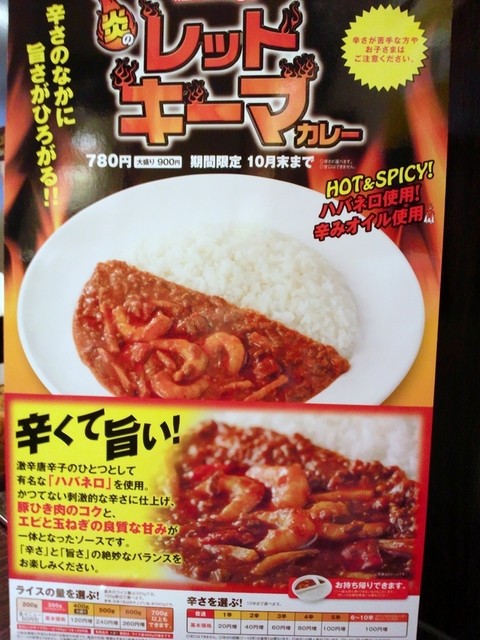 CoCo壱番屋 東武浅草駅前店 - メラメラしちゃってます♪