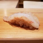 Sushi Tsu - ボタン海老