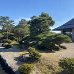 Ryousen Gorufu Kurabu - クラブハウス前には1億円の松が鎮座しています