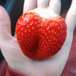 姫路ハートフル観光農園 - 